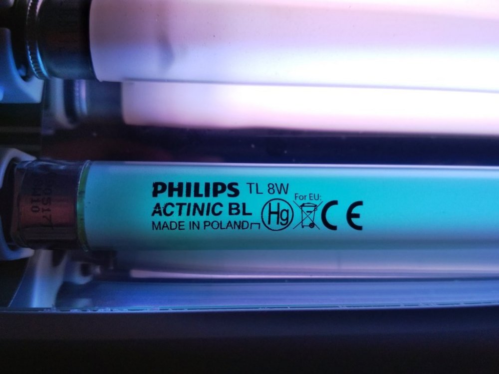 świetlówka.jpg