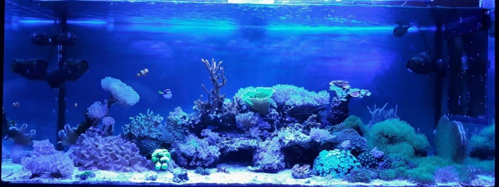 IMG-20180930-WA0008 — kopia.jpg