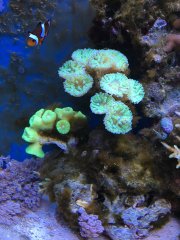 2018-09-13 17.59.34.jpg