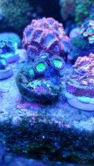 20180905_120004_HDR (Kopiowanie).jpg