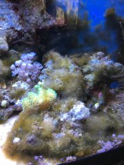 2018-09-13 17.59.25.jpg