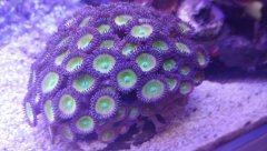 20180905_092559 (Kopiowanie).jpg