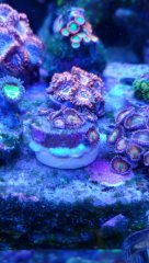 20180905_120010_HDR (Kopiowanie).jpg