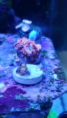 20180905_120018_HDR (Kopiowanie).jpg