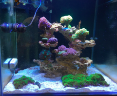 Zrzut ekranu 2018-09-30 o 22.15.15.png