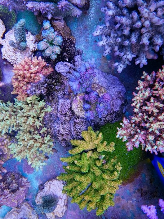 20181021_165824 [800x600].jpg