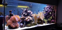 20181029_195045.jpg