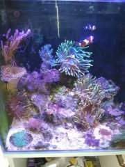 IMG_20181003_173248.jpg