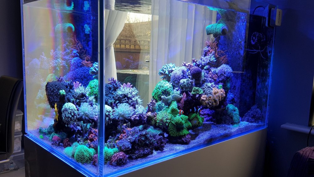 2018-11-25 12.18.49.jpg