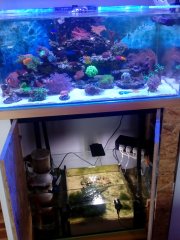 1541938054035-165616156