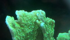 20181122_145744.jpg