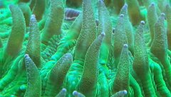 20181122_150311.jpg