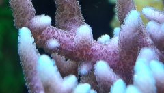 20181122_150408.jpg