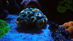 20181122_184812.jpg