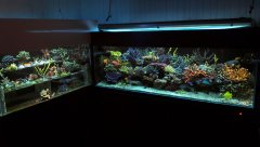 20181124_104647.jpg