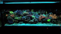 20181124_104828.jpg