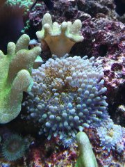 IMG_20181127_172417.jpg