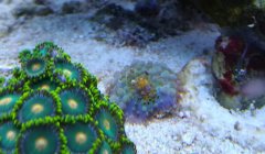 IMG_20181127_172505.jpg