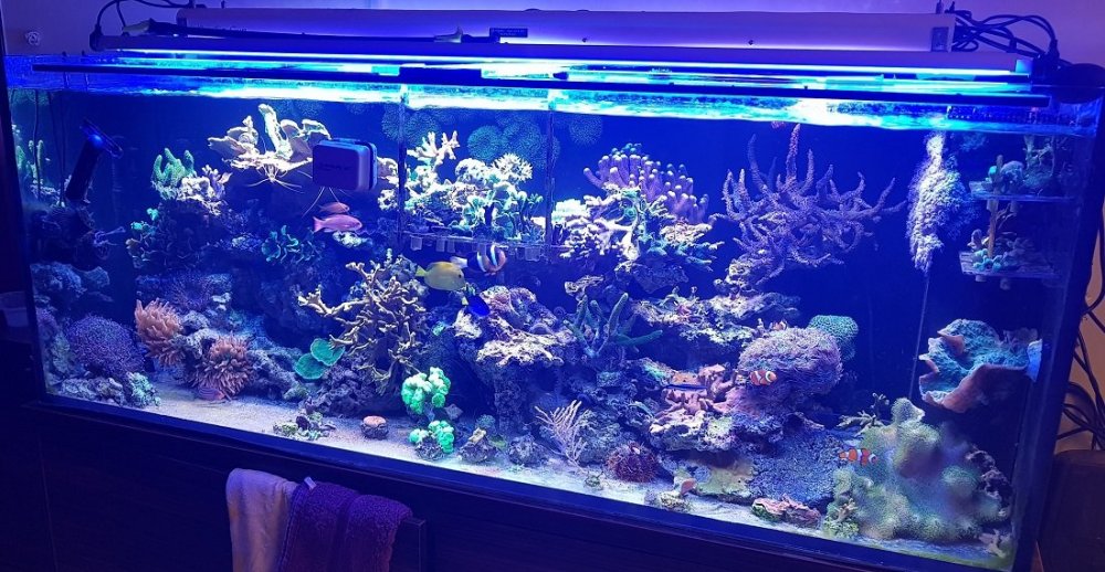 02.12.2018 akwarium.jpg