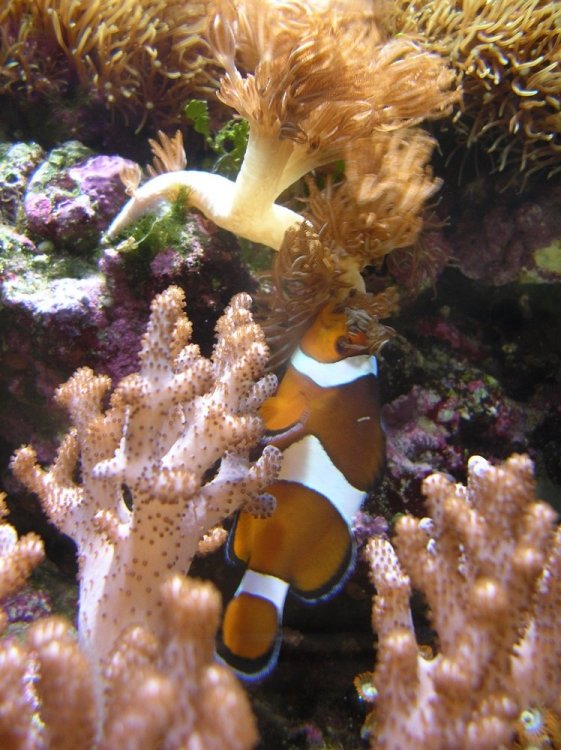 nietypowe zachowanie.jpg