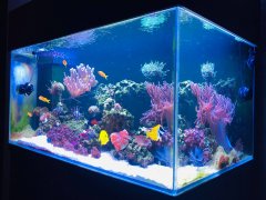 zdjęcie na neta.jpg