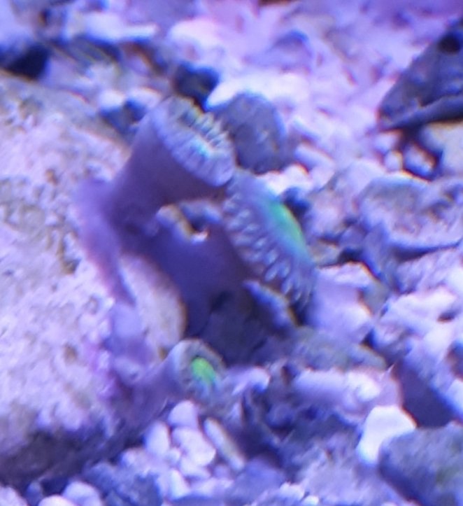 20190113_191422.jpg.c74cf0ab2c77e6c5bc6a91b0e6f506bf.jpg