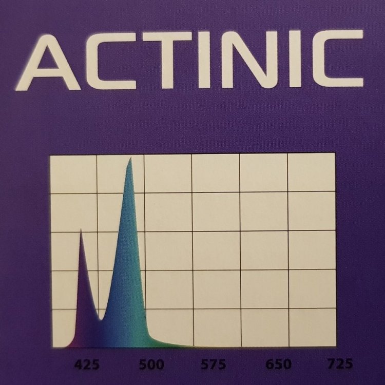 retrofit actinic.jpg