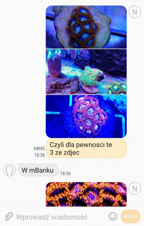 Screenshot_20190113-190859_Messages.thumb.jpg.23a8408fccbd9c0f2340c1c51a0f6234.jpg