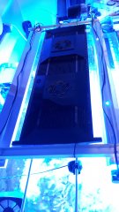 20190111_164735.jpg