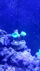 IMG_20190202_102551[1]