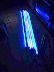 46F5D88D-AA28-472E-B9EE-57A1D643C7F0_Easy-Resize.com (2).jpg