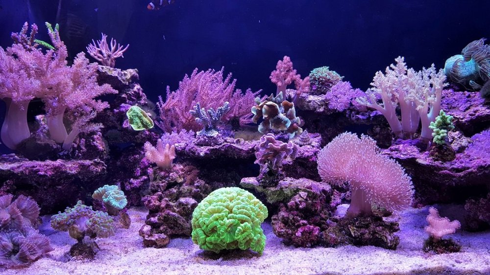 akwa 23 marca 2019.jpg