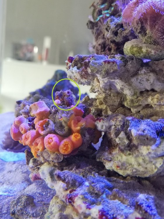 IMG_20190331_131457 (1)_Easy-Resize.com.jpg