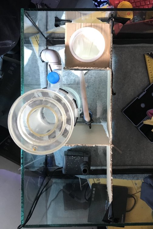 PenultimateFullSizeRender (1044 x 1554).jpg