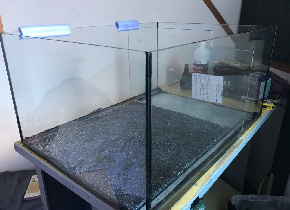 PenultimateFullSizeRender (2) (1961 x 1416).jpg