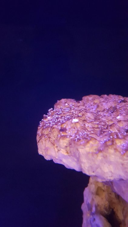 2019-03-29 20.18.43.jpg