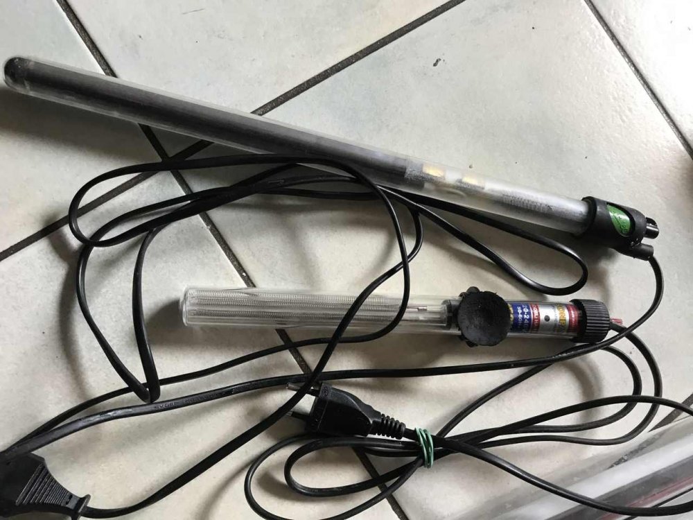 3A5E9F46-A8EF-4E27-836D-649EC7AA1329_Easy-Resize.com (1).jpg