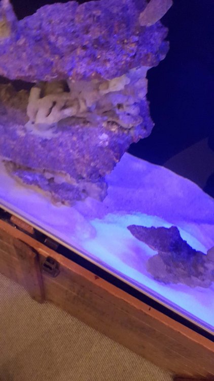 2019-03-29 20.19.04.jpg