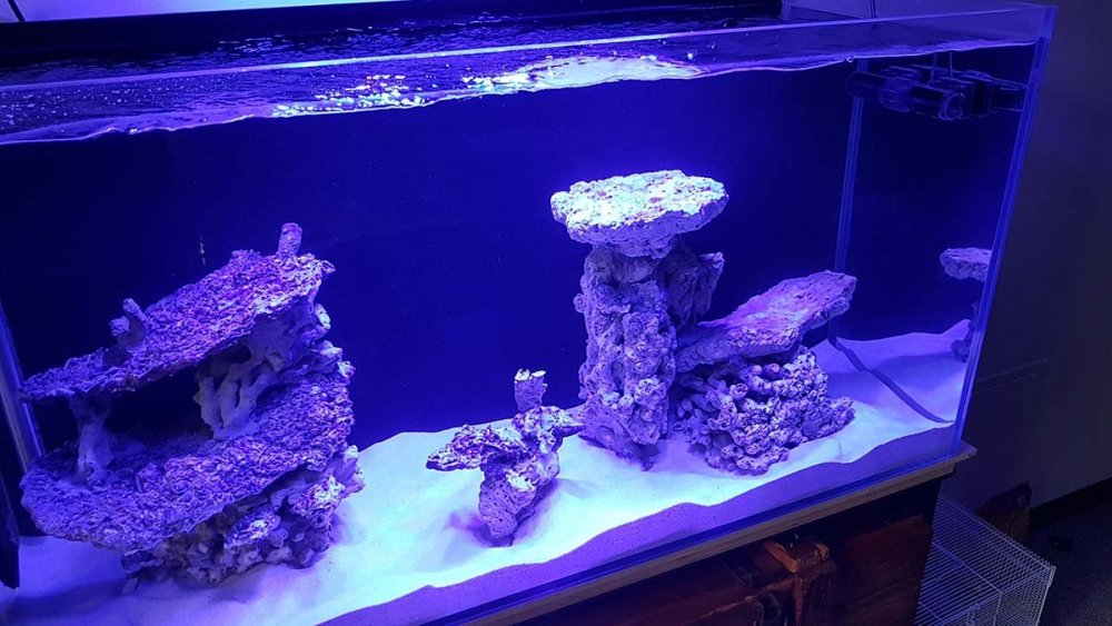 2019-03-25 16.00.53.jpg