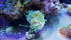 2019-03-10 21.44.25.jpg