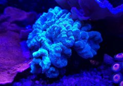 20190428_153744.jpg