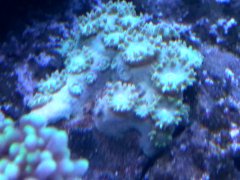 IMG_20190406_193734_HDR