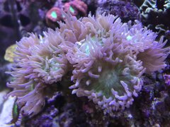 SXXxfPD5RA2wfFNheZThbA