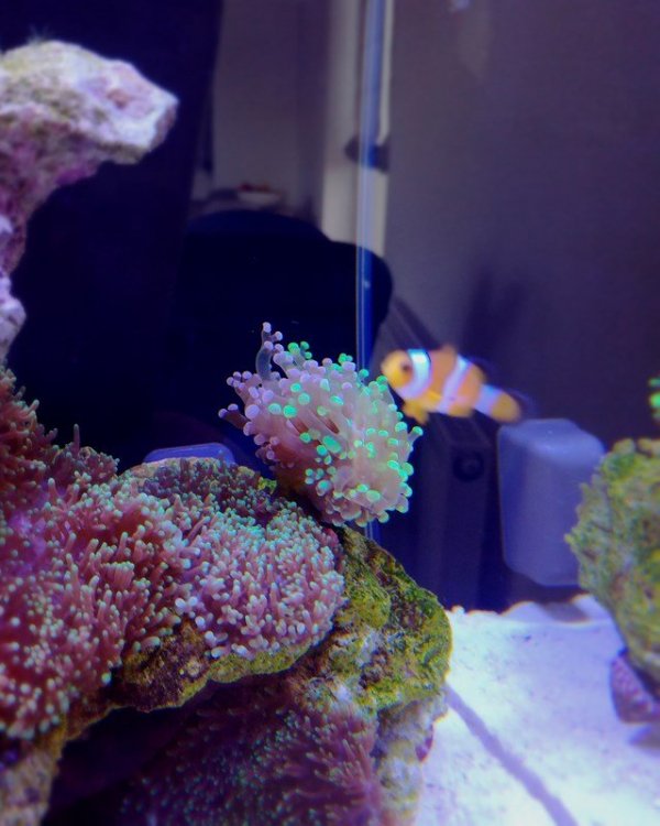 IMG_20190509_104841 (Kopiowanie).jpg