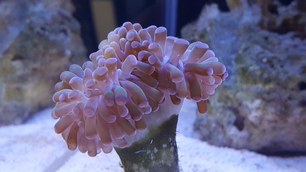 20190619_185514-1328x747.jpg