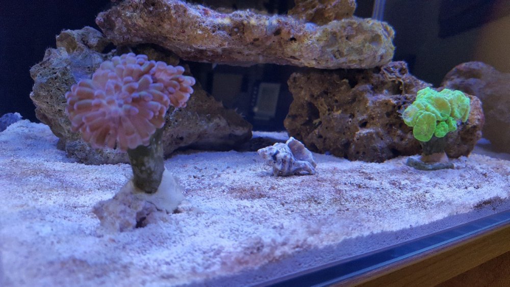 20190619_190017-1328x747.jpg