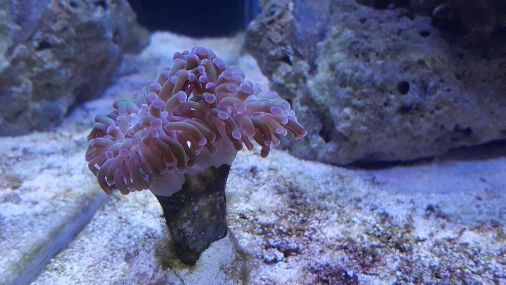 20190629_161828-1328x747.jpg