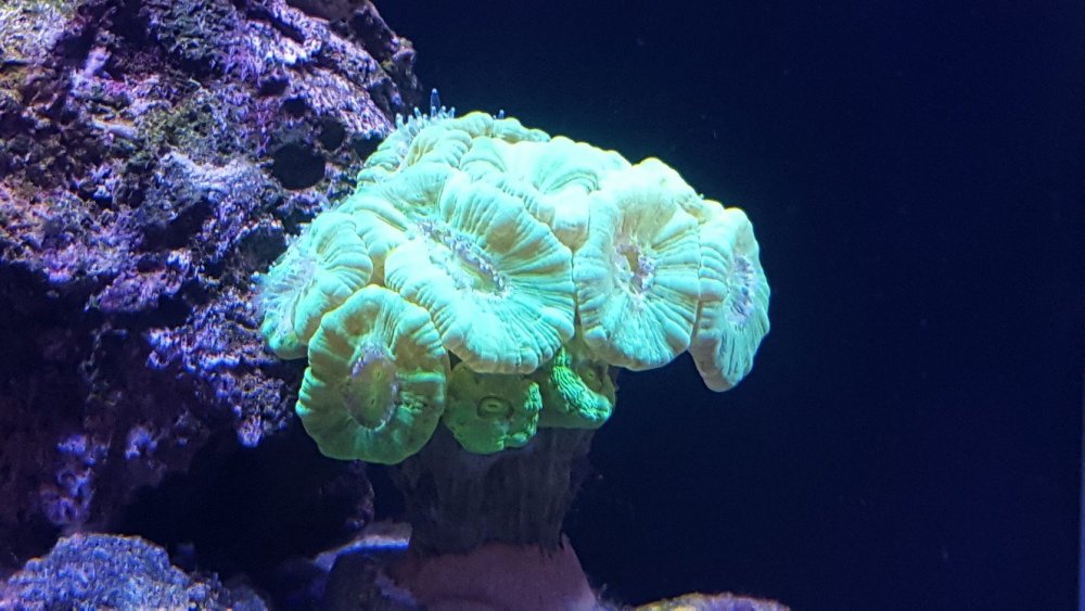 20190629_161853-1328x747.jpg