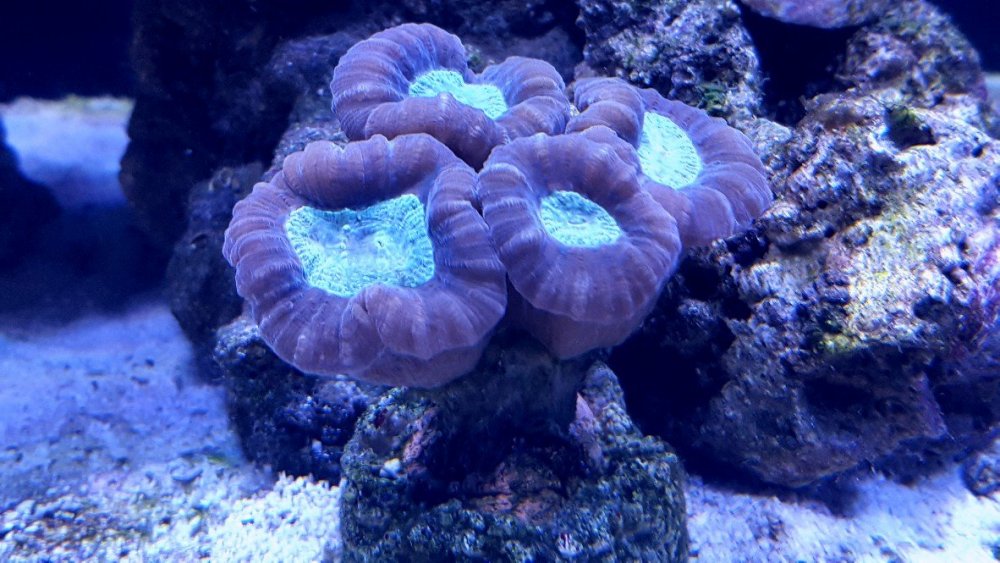 20190629_162109-1182x665.jpg
