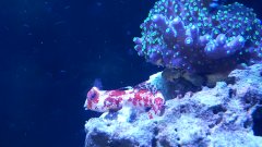 20190607_155315.jpg